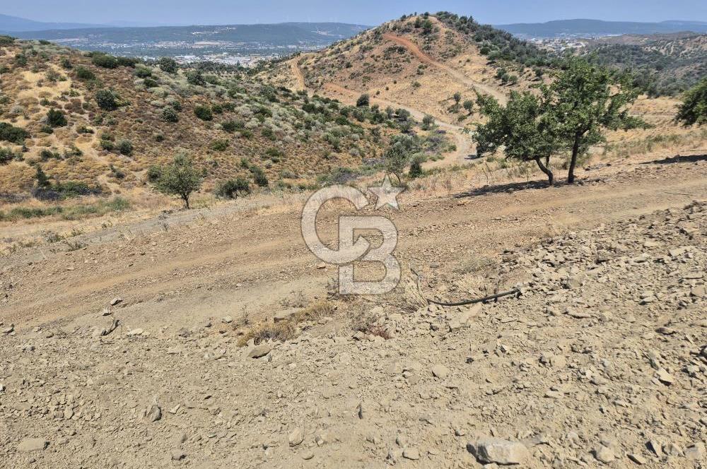 ULAMIŞ'TA 500 m2 ARSA