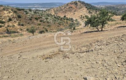 ULAMIŞ'TA 500 m2 ARSA