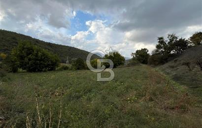 İzmir Ödemiş Çamyayla'da Satılık Yola Cepheli Tarla