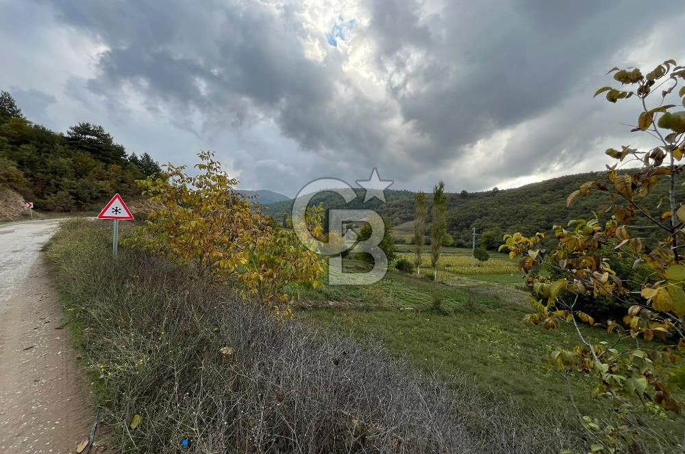 İzmir Ödemiş Çamyayla'da Satılık Yola Cepheli Tarla