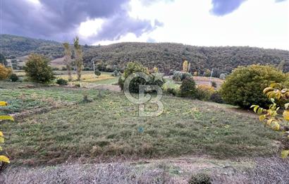 İzmir Ödemiş Çamyayla'da Satılık Yola Cepheli Tarla