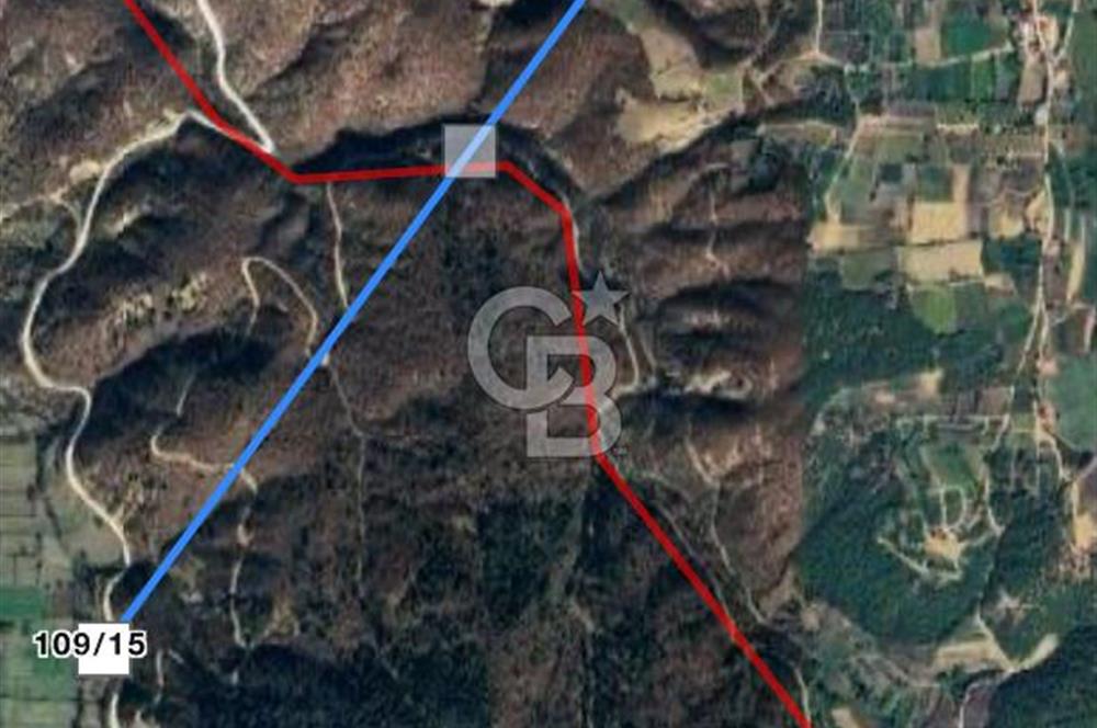 İzmir Ödemiş Çamyayla'da Satılık Yola Cepheli Tarla