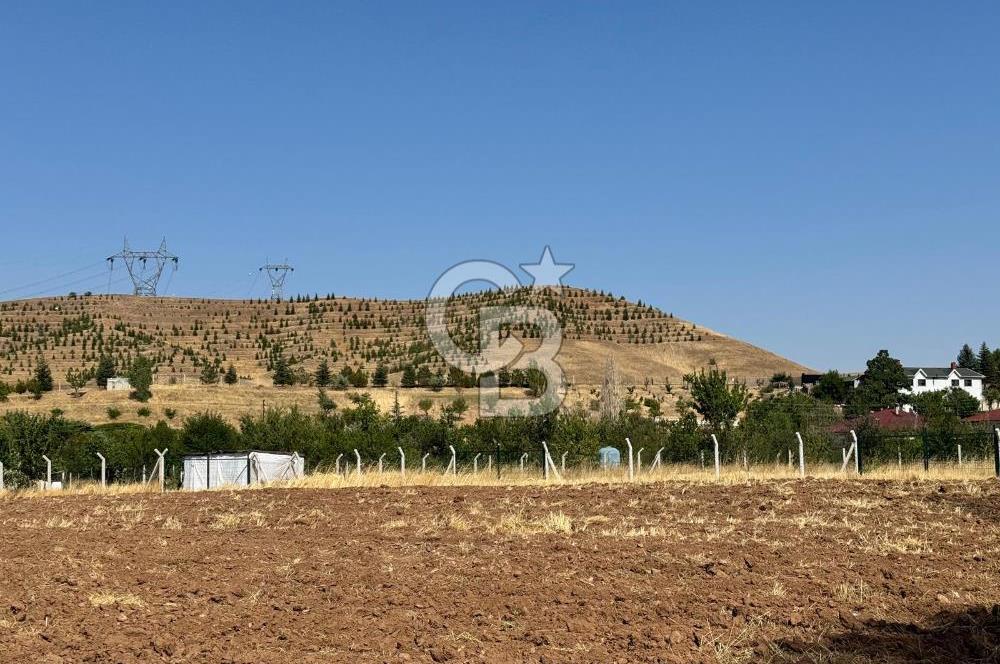 AKYURT MESİRE ALANI 6500 M2 TARLA 