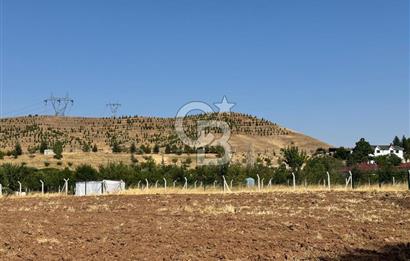 AKYURT MESİRE ALANI 6500 M2 TARLA 
