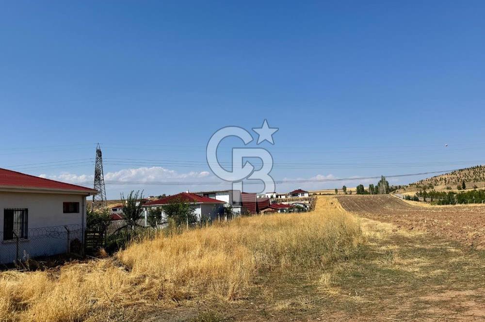 AKYURT MESİRE ALANI 6500 M2 TARLA 