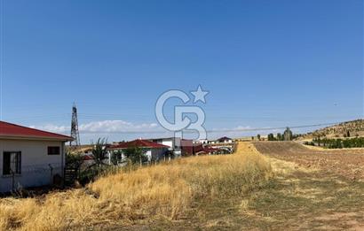 AKYURT MESİRE ALANI 6500 M2 TARLA 