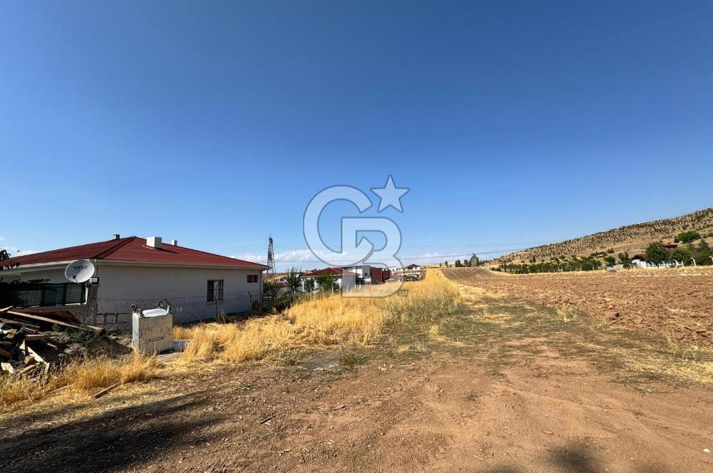 AKYURT MESİRE ALANI 6500 M2 TARLA 