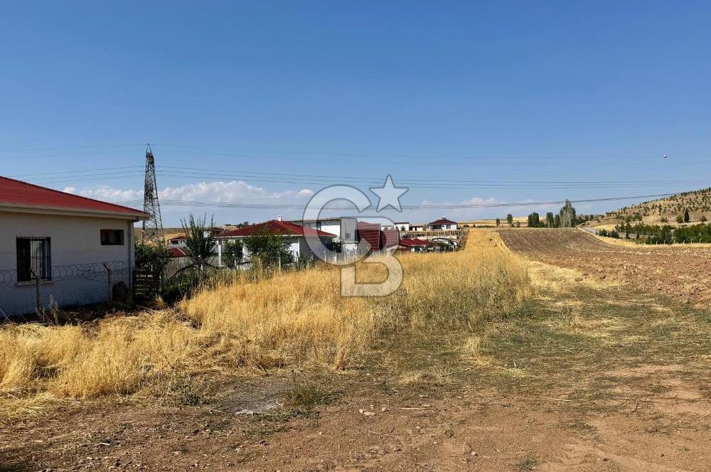 AKYURT MESİRE ALANI 6500 M2 TARLA 