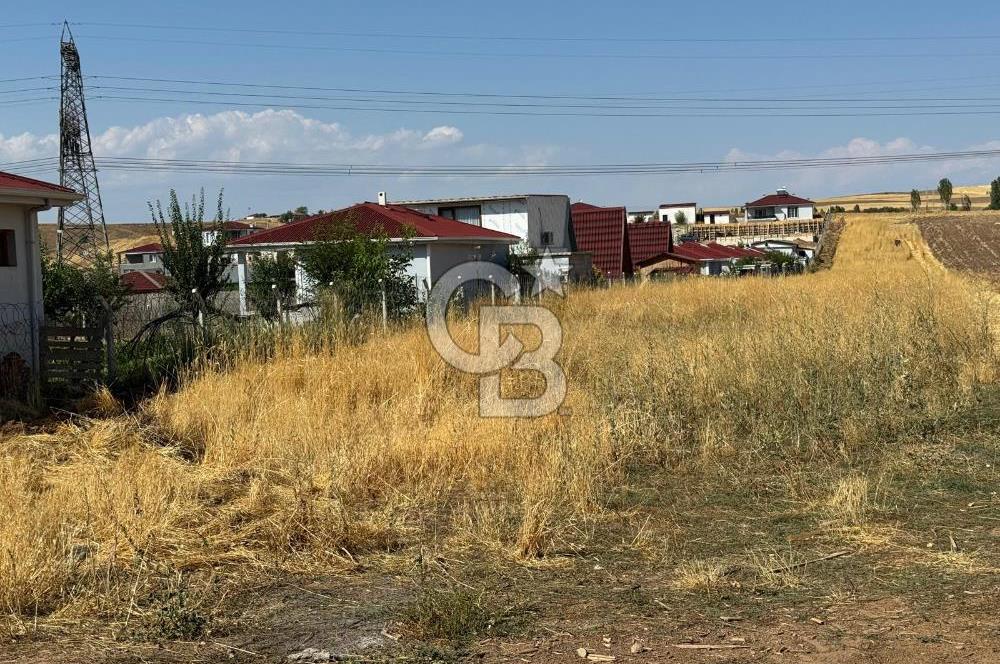 AKYURT MESİRE ALANI 6500 M2 TARLA 