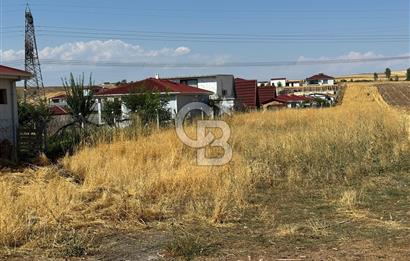 AKYURT MESİRE ALANI 6500 M2 TARLA