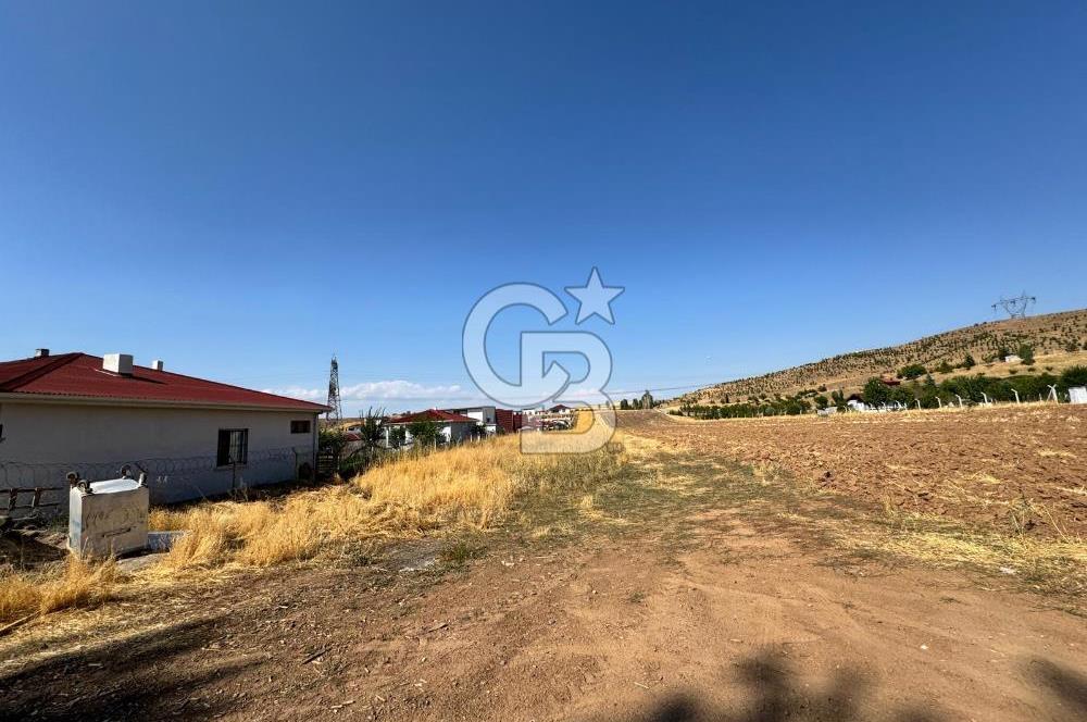 AKYURT MESİRE ALANI 6500 M2 TARLA 