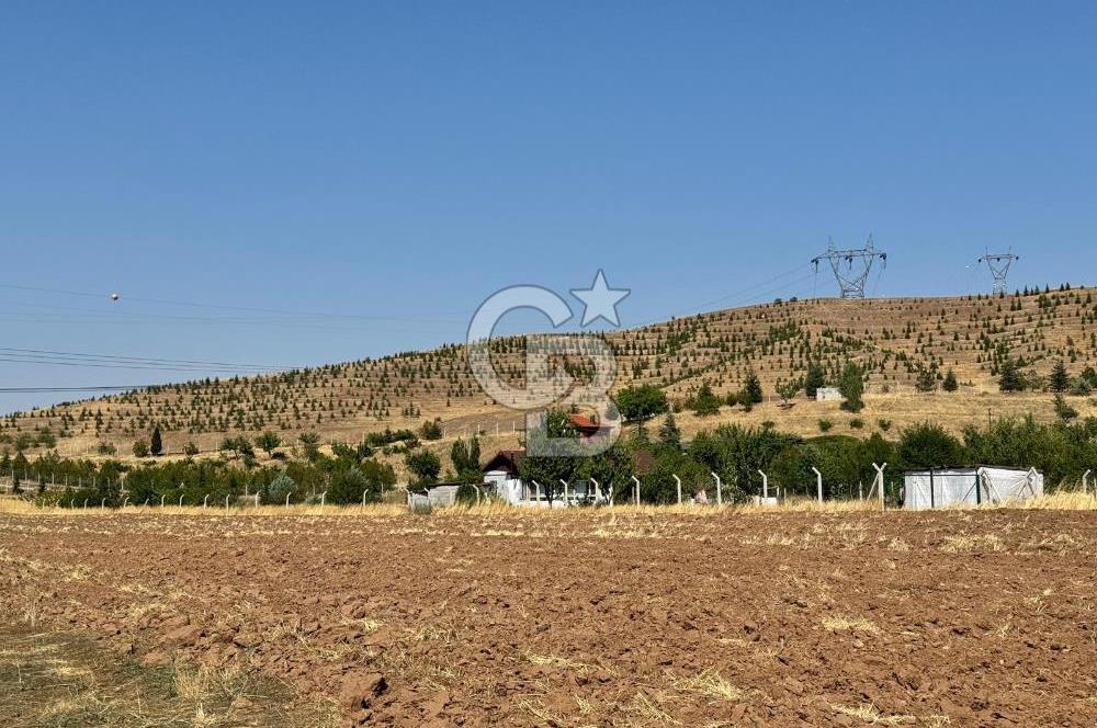 AKYURT MESİRE ALANI 6500 M2 TARLA 