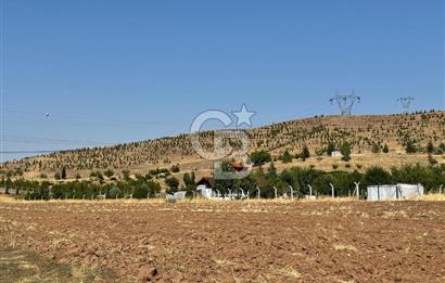 AKYURT MESİRE ALANI 6500 M2 TARLA 