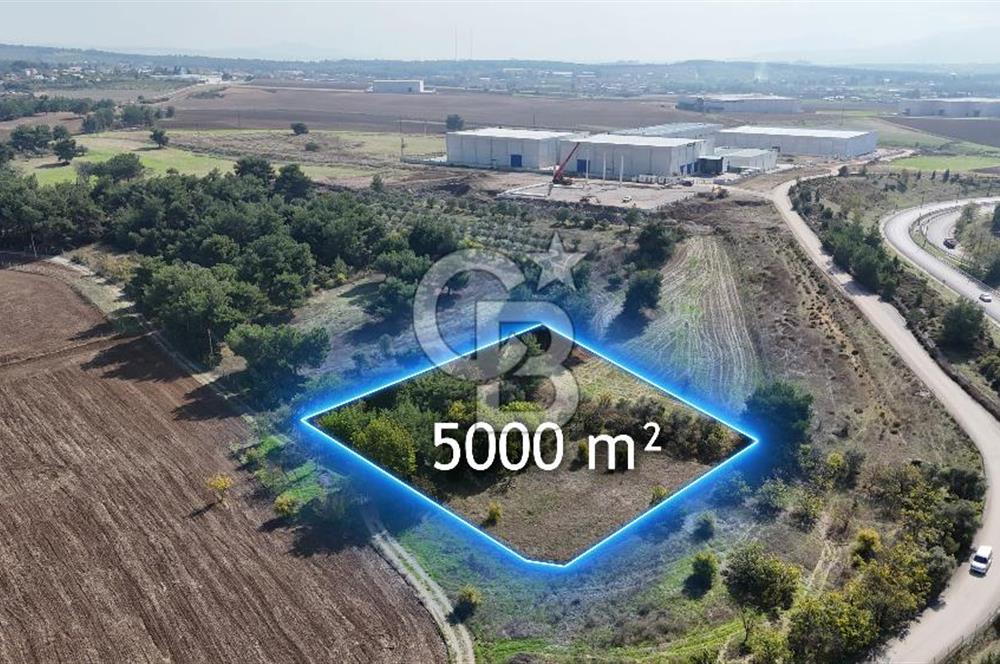 Menderes Satılık Resmi Depo İmarlı Arsa
