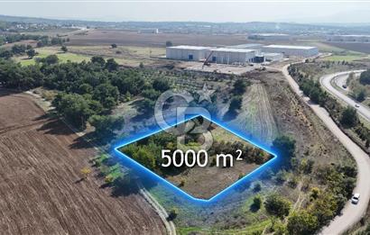 Menderes Satılık Resmi Depo İmarlı Arsa
