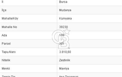 CB BLACK'TEN KUMYAKA'DA DENİZ MANZARALI YOLA PARSEL ZEYTİNLİK
