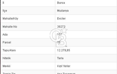 CB BLACK'TEN MUDANYA EVCİLER'DE YOLA PARSEL YATIRIMLIK TARLA