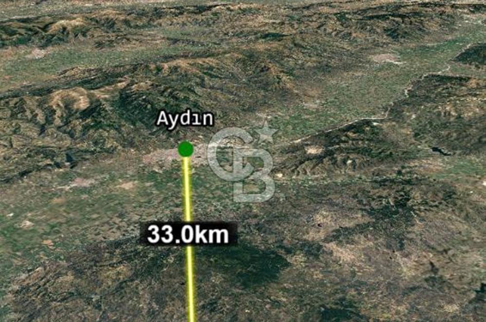 Aydın Söke Kaykıllıda Zeytinlik