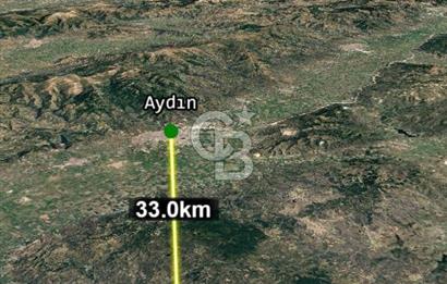 Aydın Söke Kaykıllıda Zeytinlik