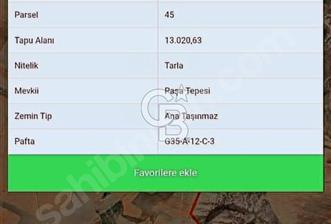 CB PARK'DAN MERZİFON KAYA DÜZÜ KÖYÜNDE SATILIK TARLA 