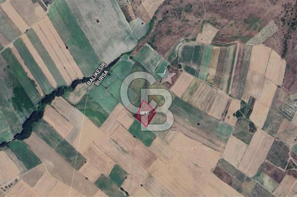 KARACABEY SULTANİYE SATILIK 6DÖNÜM ARAZİ *