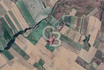 KARACABEY SULTANİYE SATILIK 6DÖNÜM ARAZİ *