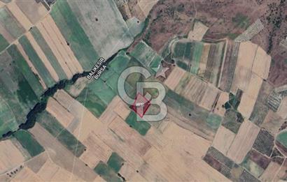 KARACABEY SULTANİYE SATILIK 6DÖNÜM ARAZİ *
