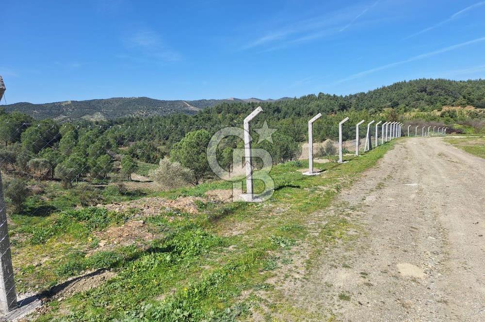 ORHANLI'DA 250m2 ARSA