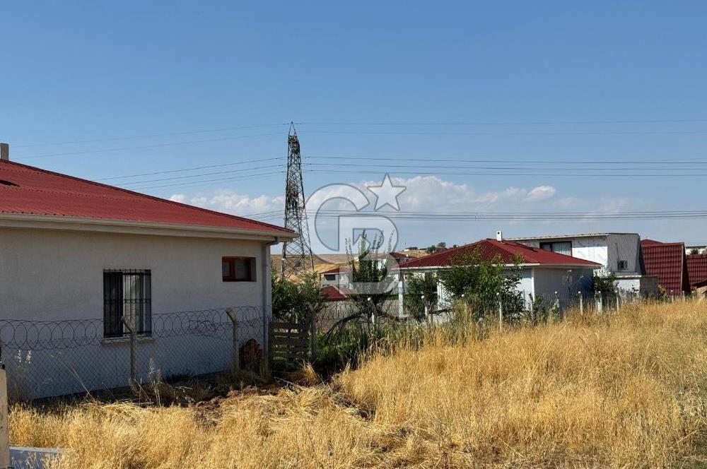 AKYURT MESİRE ALANI 6500 M2 TARLA 