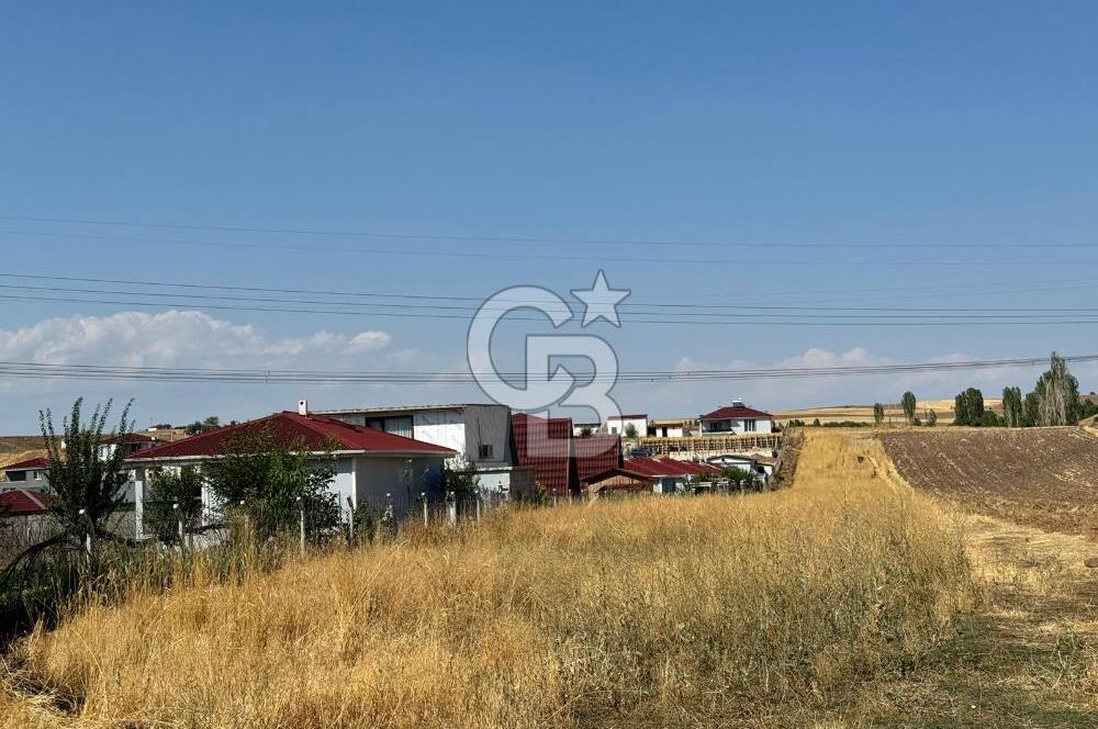 AKYURT MESİRE ALANI 6500 M2 TARLA 