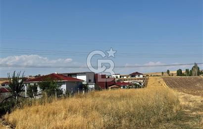 AKYURT MESİRE ALANI 6500 M2 TARLA 