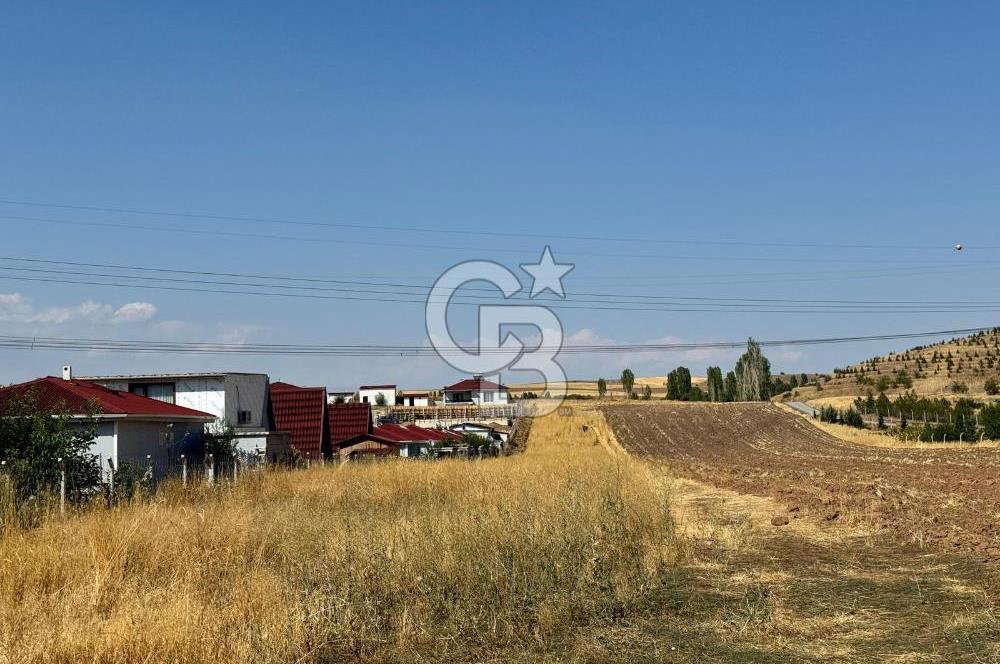 AKYURT MESİRE ALANI 6500 M2 TARLA 