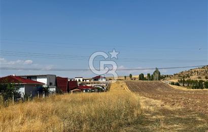 AKYURT MESİRE ALANI 6500 M2 TARLA 