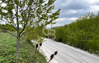 BURSA İZNİK CANDARLI KÖYÜNDE 3679 m2 SATILIK TARLA
