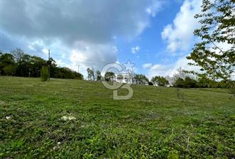BURSA İZNİK CANDARLI KÖYÜNDE 3679 m2 SATILIK TARLA
