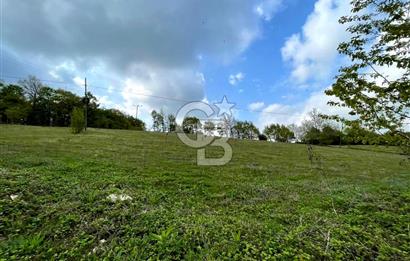 BURSA İZNİK CANDARLI KÖYÜNDE 3679 m2 SATILIK TARLA
