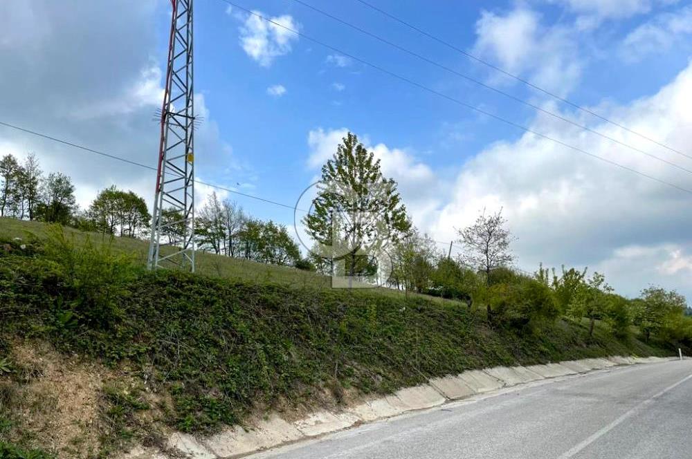 BURSA İZNİK CANDARLI KÖYÜNDE 3679 m2 SATILIK TARLA