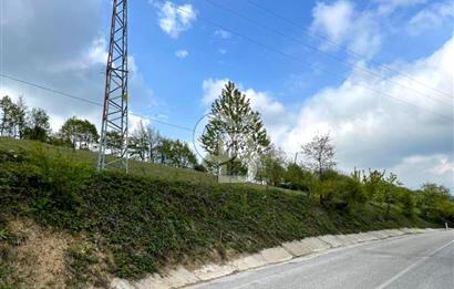 BURSA İZNİK CANDARLI KÖYÜNDE 3679 m2 SATILIK TARLA