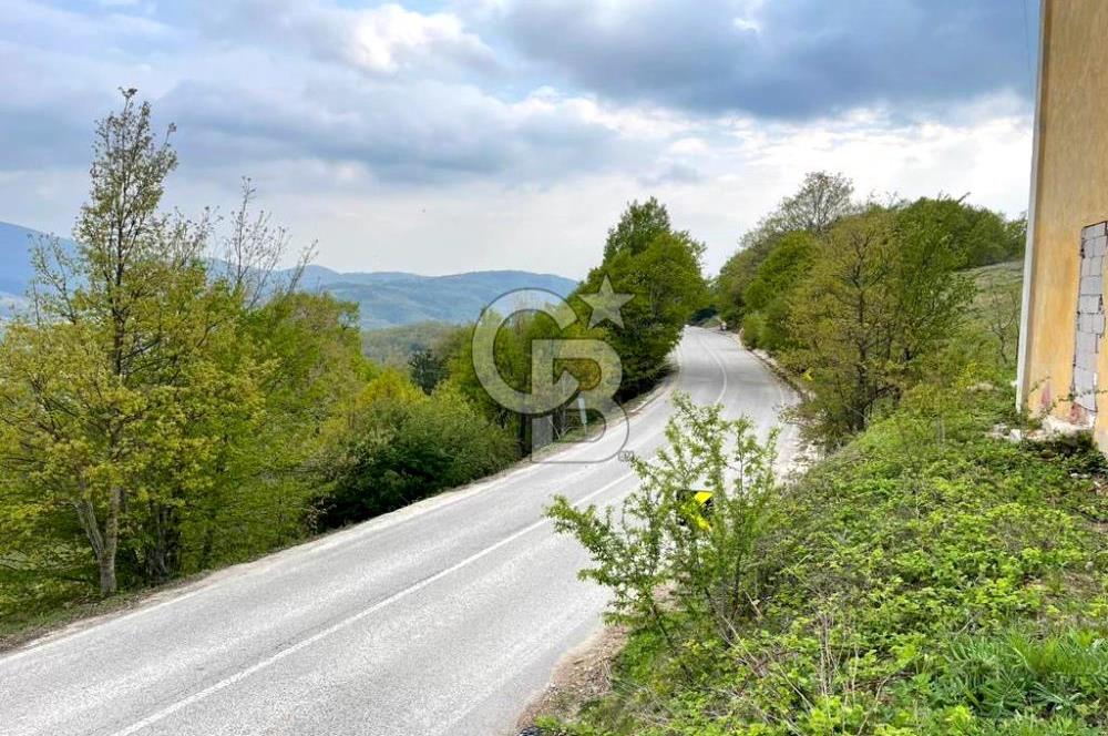 BURSA İZNİK CANDARLI KÖYÜNDE 3679 m2 SATILIK TARLA