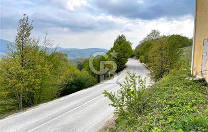 BURSA İZNİK CANDARLI KÖYÜNDE 3679 m2 SATILIK TARLA