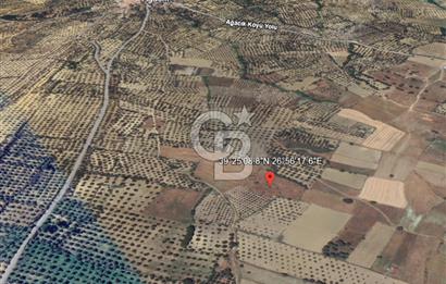 BALIKESİR- BURHANİYE AĞACIK KÖYALTI MEVKİİNDE SATILIK PALAMUTLU TARLA
