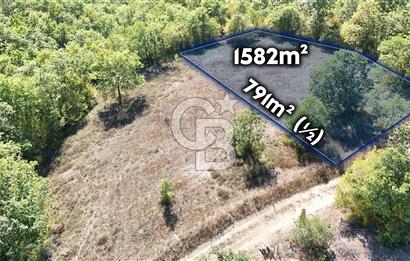 CB/PARK HÜSEYİN ATAY' DAN KAVAK YOSUNLU' DA 1/2 FIRSAT HİSSE !