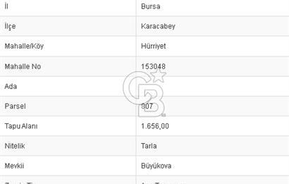CB BLACK'TEN KARACABEY HÜRRİYET'TE SATILIK DEĞERLİ KONUMDA TARLA