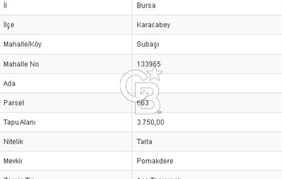 CB BLACK'TEN KARACABEY SUBAŞI'DA SATILIK KÖYE YAKIN FIRSAT TARLA