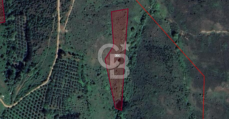 CB BLACK'TEN KARACABEY SUBAŞI'DA SATILIK HARİKA KONUMDA TARLA