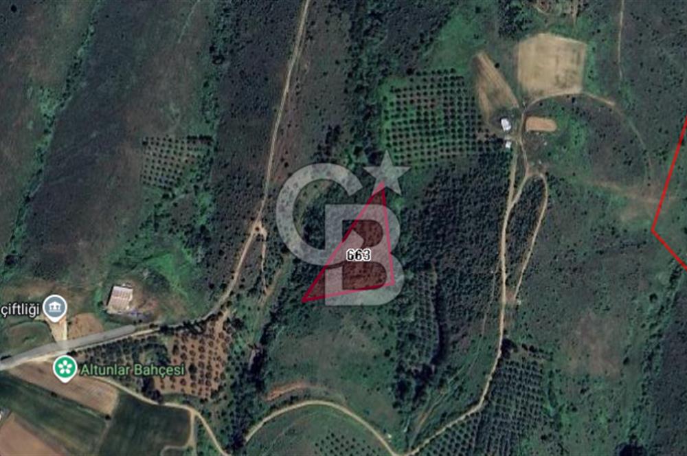 CB BLACK'TEN KARACABEY SUBAŞI'DA SATILIK KÖYE YAKIN FIRSAT TARLA