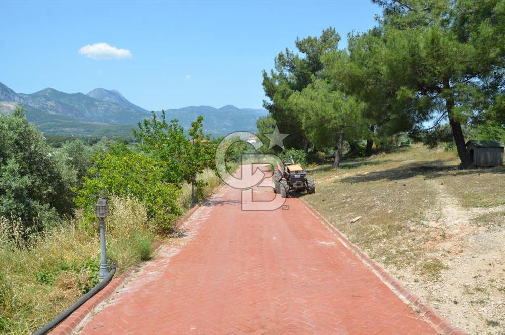 MUĞLA SEYDİKEMER EŞEN DE 37.968 m²