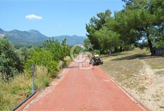 MUĞLA SEYDİKEMER EŞEN DE 37.968 m²