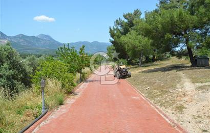 MUĞLA SEYDİKEMER EŞEN DE 37.968 m²