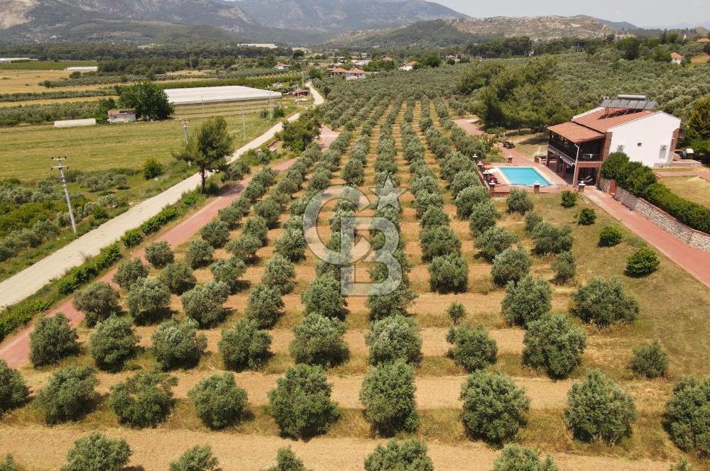 MUĞLA SEYDİKEMER EŞEN DE 37.968 m²